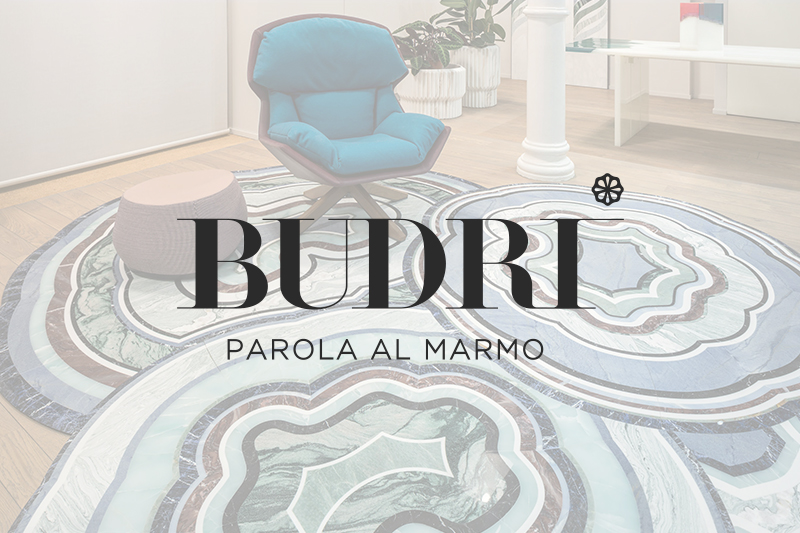 Logo Budri