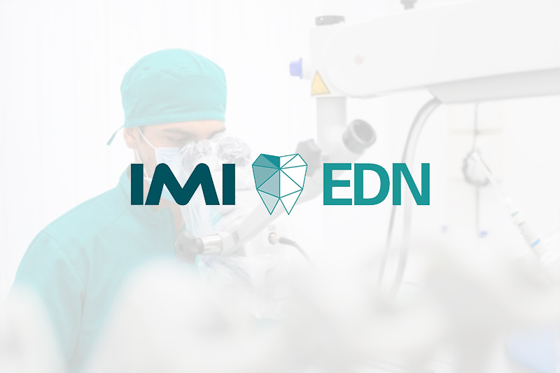 Logo IMI EDN