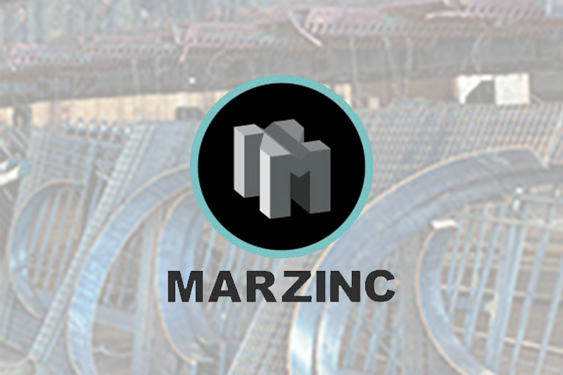 Logo Marzinc