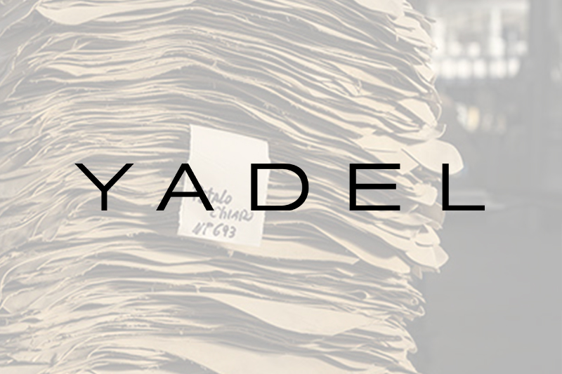 Logo Yadel